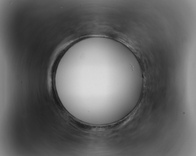 X0000093110294200709260951