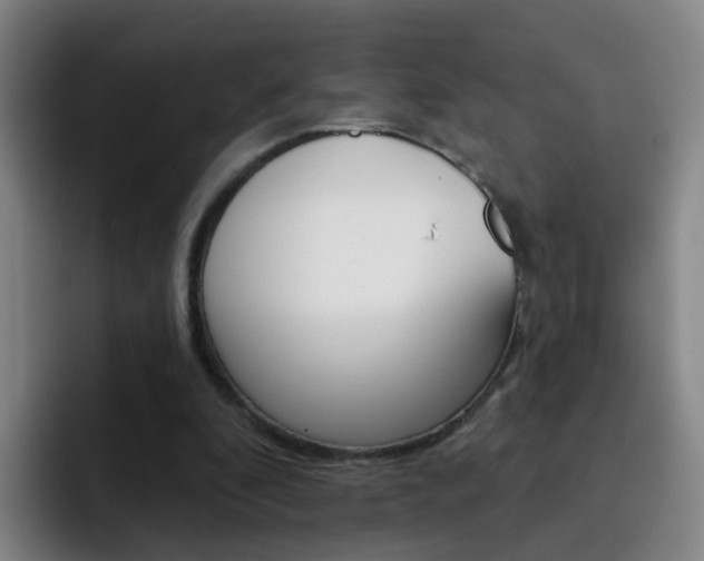 X0000093110296200709260951