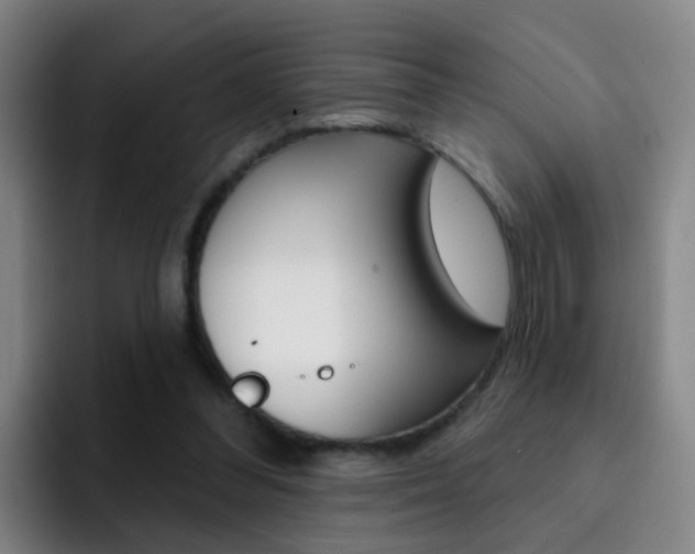 X0000093110300200709260951