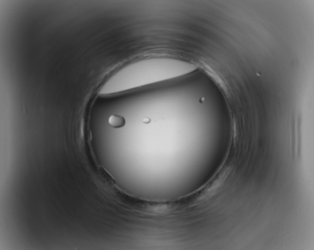 X0000093110301200709260951