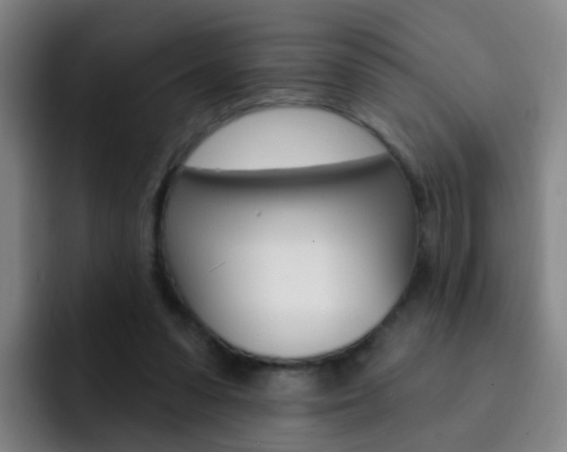 X0000093110303200709260951