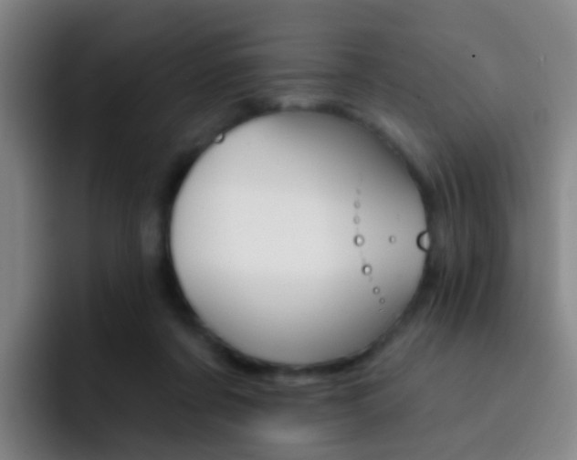 X0000093110311200709260950
