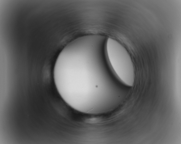 X0000093110312200709260950