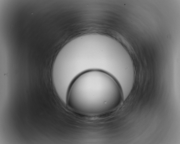 X0000093110313200709260950