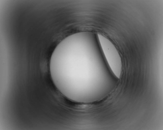 X0000093110323200709260950