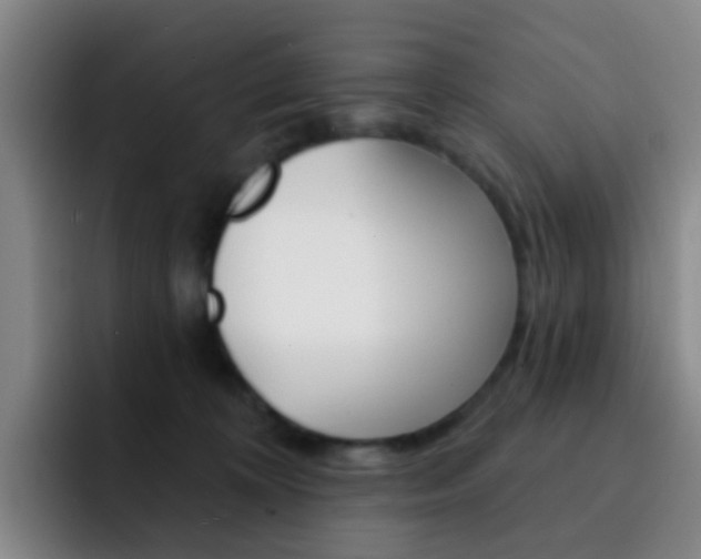 X0000093110324200709260950