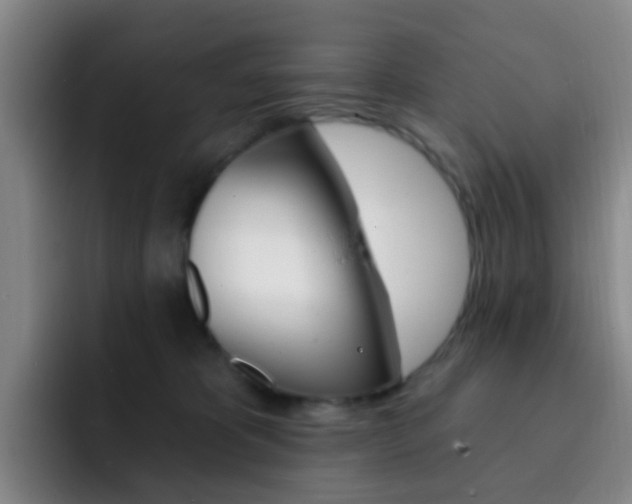 X0000093110325200709260950