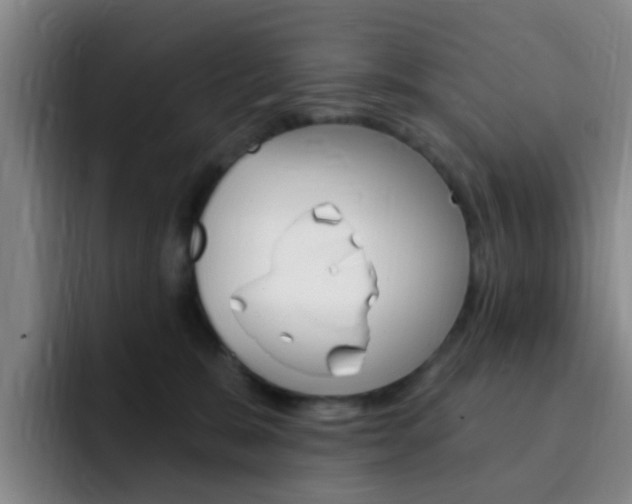 X0000093110327200709260950