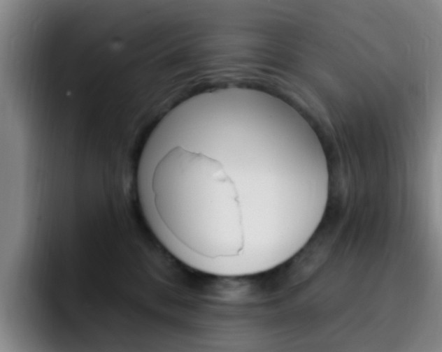 X0000093110328200709260950