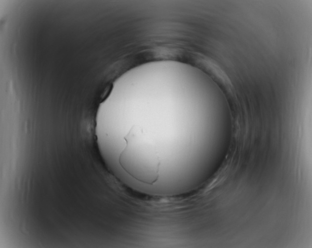 X0000093110329200709260950