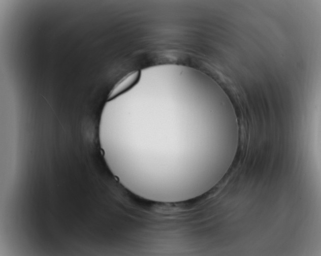 X0000093110331200709260950