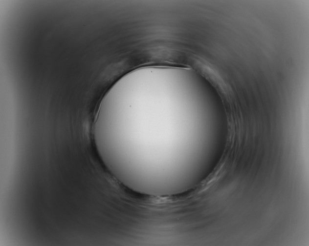 X0000093110333200709260950