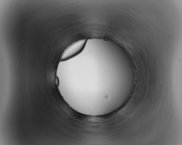 X0000093110336200709260950