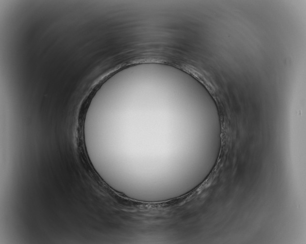 X0000093110338200709260950