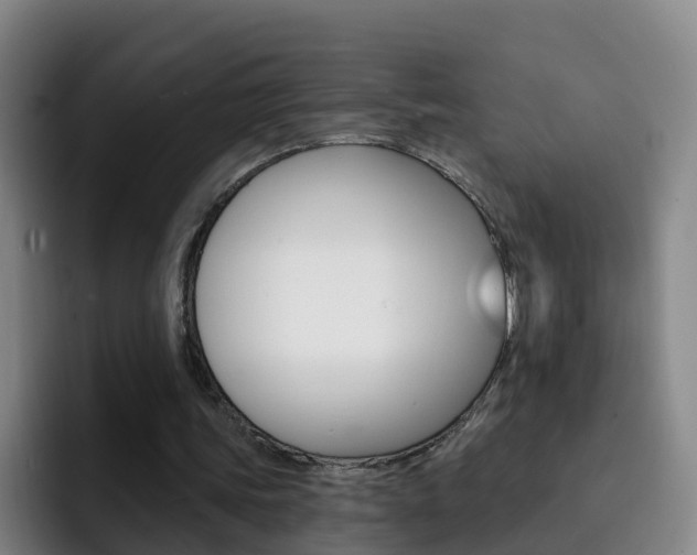 X0000093110339200709260950