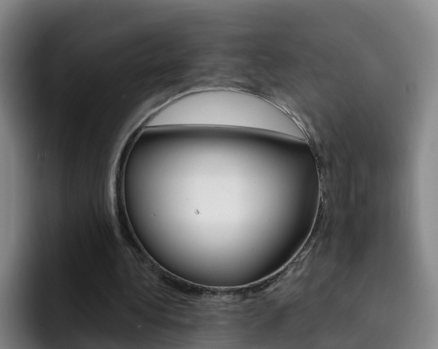 X0000093110340200709260950
