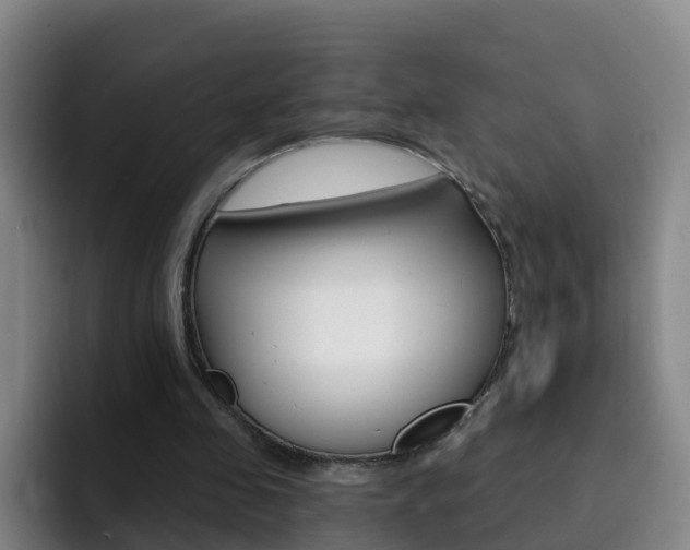 X0000093110341200709260950
