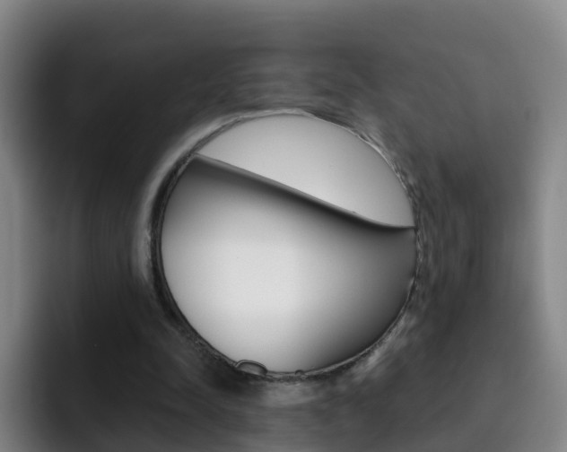 X0000093110342200709260950