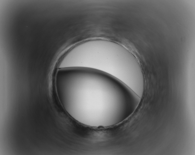 X0000093110344200709260950
