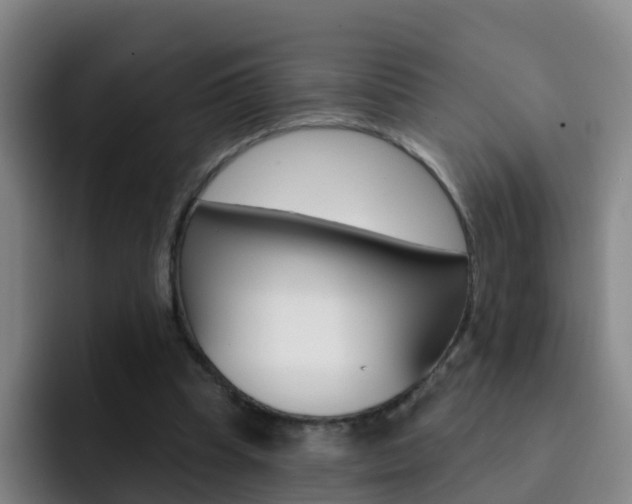 X0000093110345200709260950