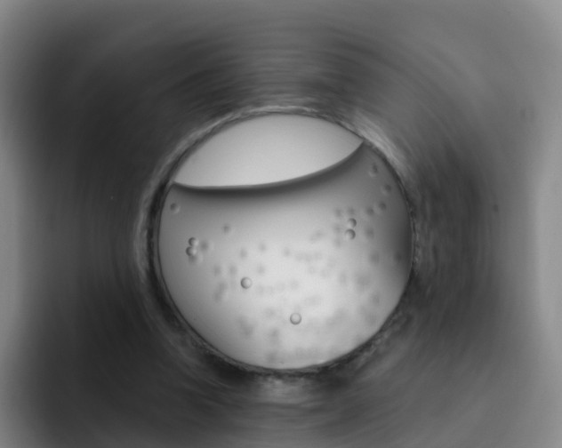 X0000093110346200709260950