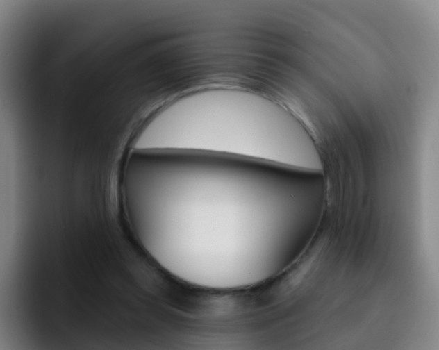 X0000093110349200709260950