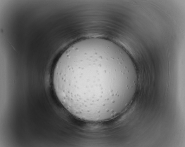 X0000093110351200709260950