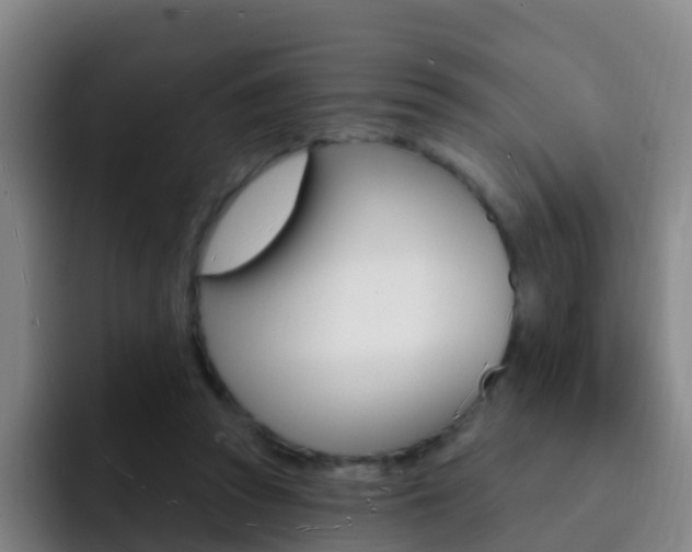 X0000093110353200709260950
