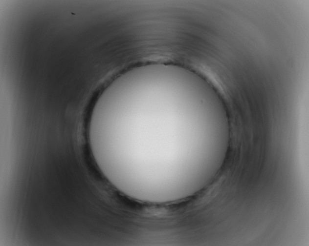 X0000093110354200709260950
