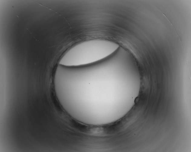 X0000093110355200709260950