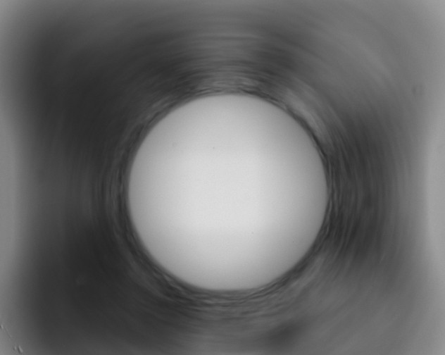 X0000093110356200709260950
