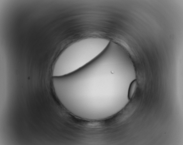 X0000093110357200709260950