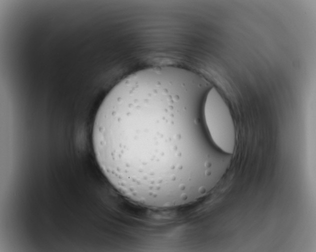 X0000093110359200709260950