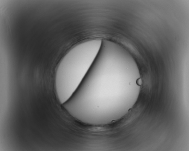 X0000093110361200709260950