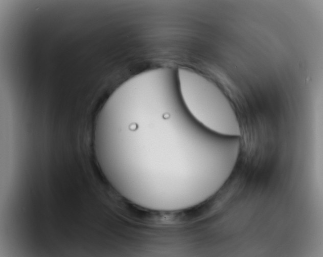 X0000093110365200709260950