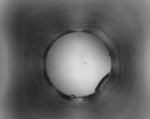 X0000093110374200709260950