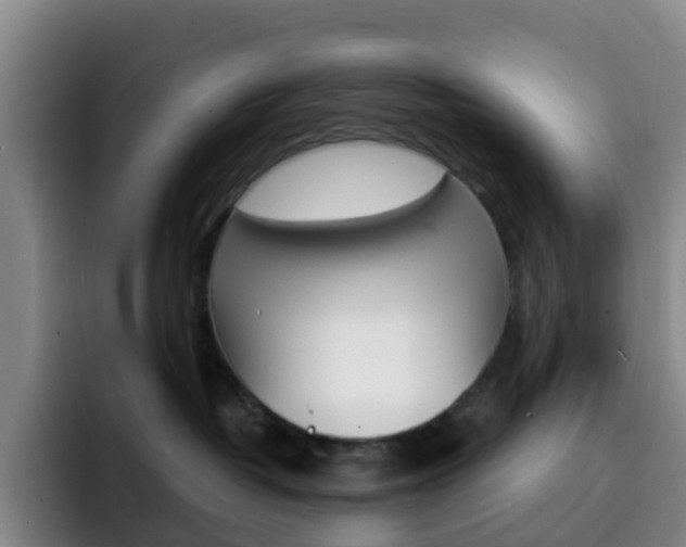 X0000093110382200709260950