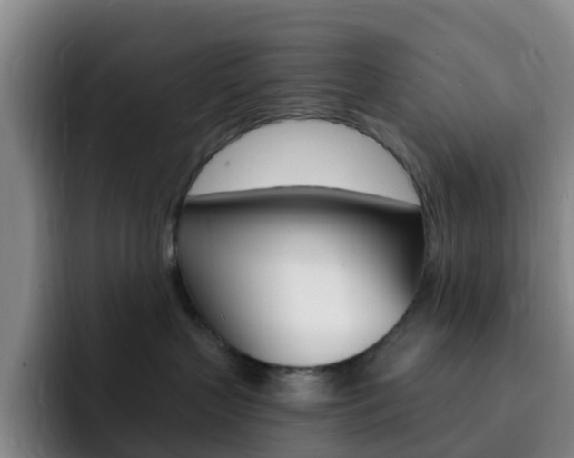 X0000093110383200709260950