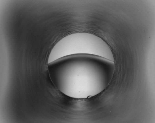 X0000093110384200709260950