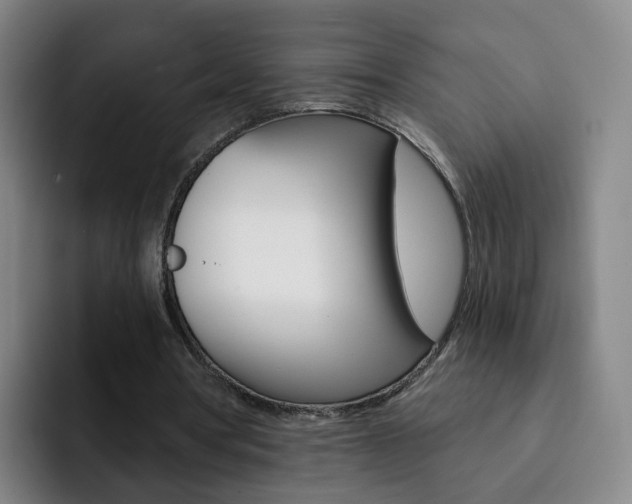 X0000093110386200709260950