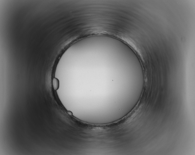 X0000093110390200709260950