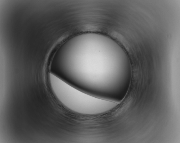 X0000093110395200709260949