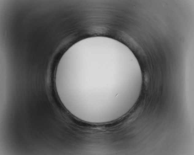 X0000093110396200709260949