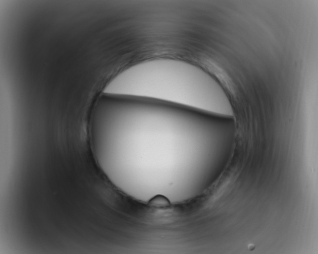 X0000093110401200709260949