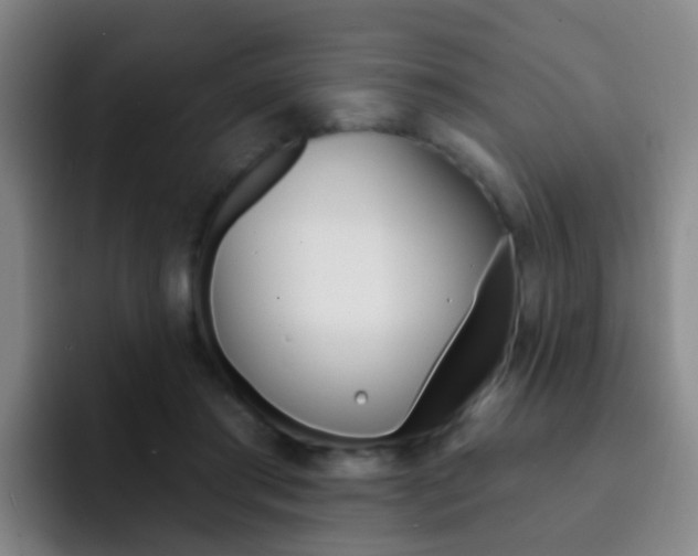 X0000093110405200709260949