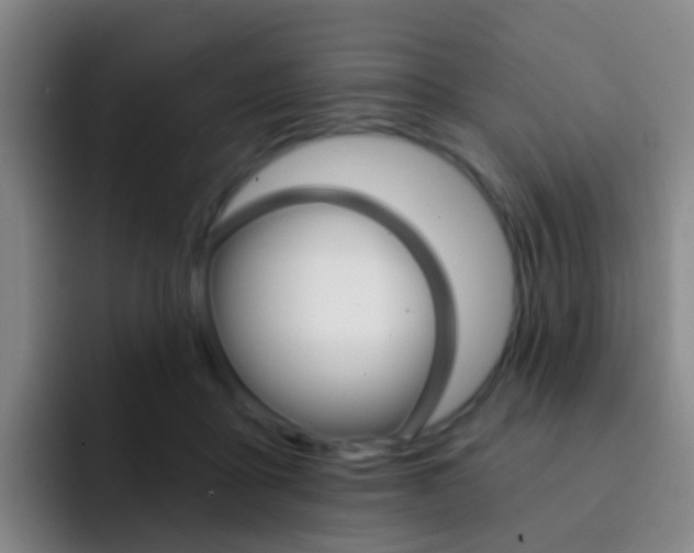 X0000093110411200709260949