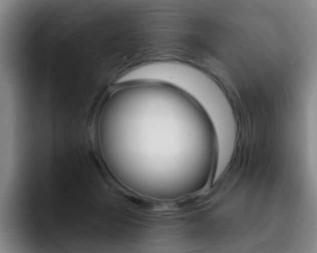 X0000093110415200709260949