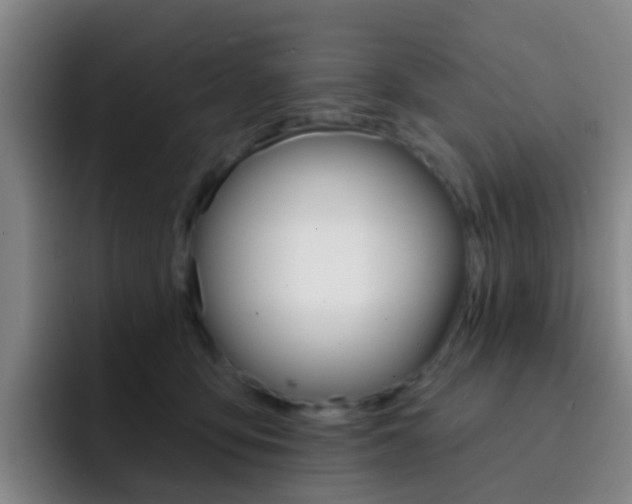 X0000093110419200709260949