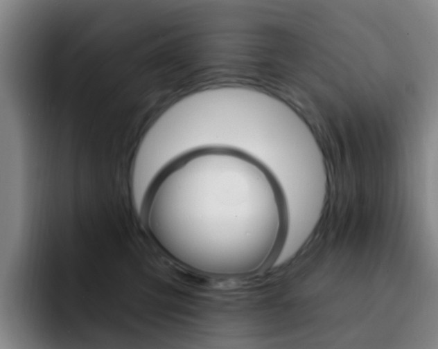 X0000093110423200709260949