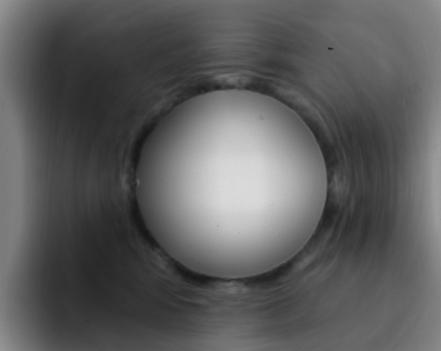 X0000093110424200709260949